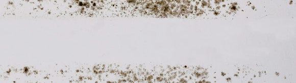 How Aqueous Ozone Removes Mould — Naturally and Effectively